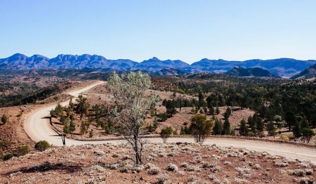 Wilpena Pound from Bunyeroo Valley