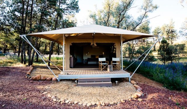 Ikara safari tents, Wilpena Pound Resort