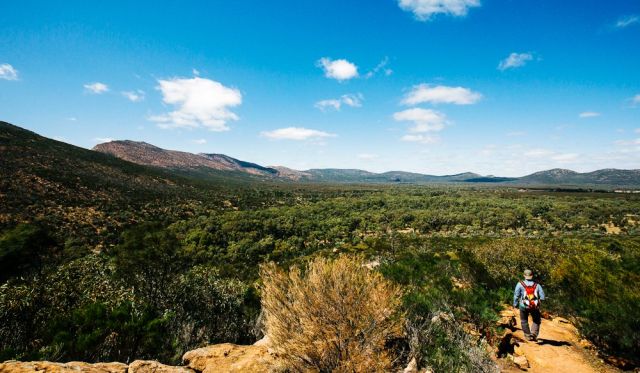 Inside Wilpena Pound's ampitheatre