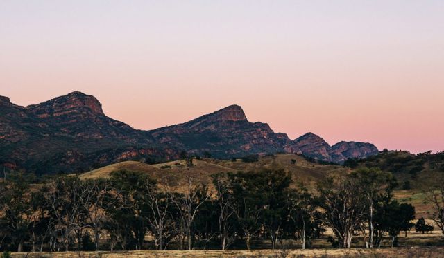 Dusk brilliance: Wilpena Pound