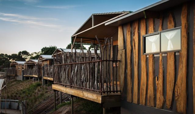 In with the animals, Slumber Safari, Werribee Open Range Zoo.