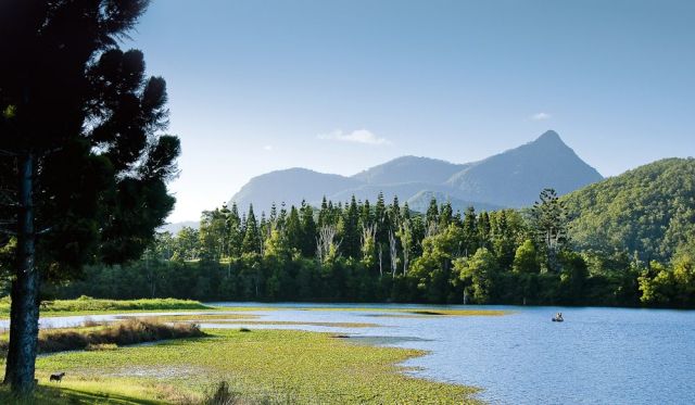 Mount Warning from Clarrie Hall Dam Tweed Valley