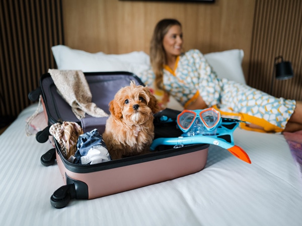 A dog sits in a suitcase with snorkel gear nearby in Cairns. (Image: Crystalbrook Bailey)