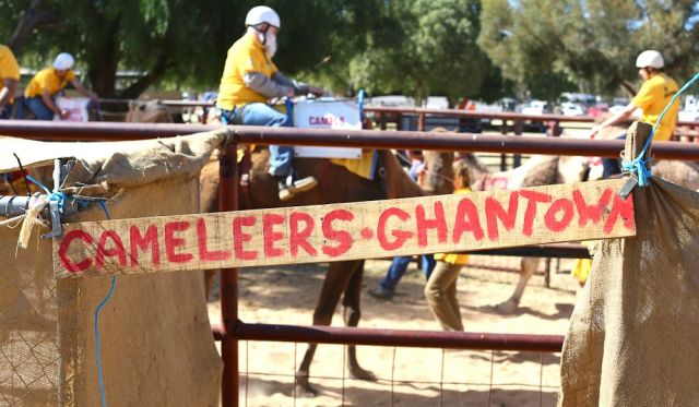 Readying rider and camel for the Camel Cup