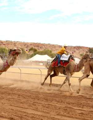 Lasseters Camel Cup Alice Springs finish line