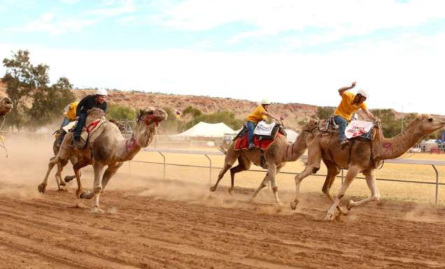 Lasseters Camel Cup Alice Springs finish line