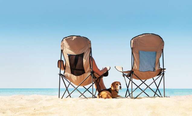 Travelling with pets: Your questions answered