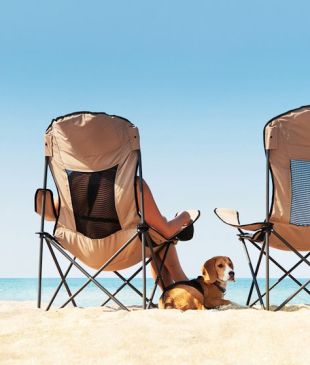 <p><i>Travelling with pets</i>: Your questions answered</p>
