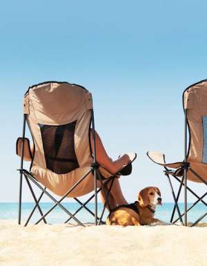 Travelling with pets: Your questions answered