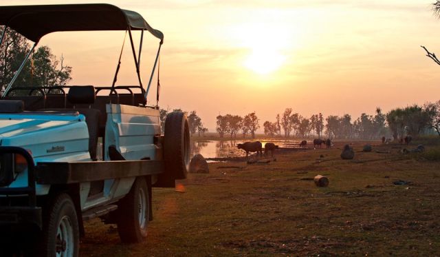 Sunset wildlife tour Bamurru Plains Lodge