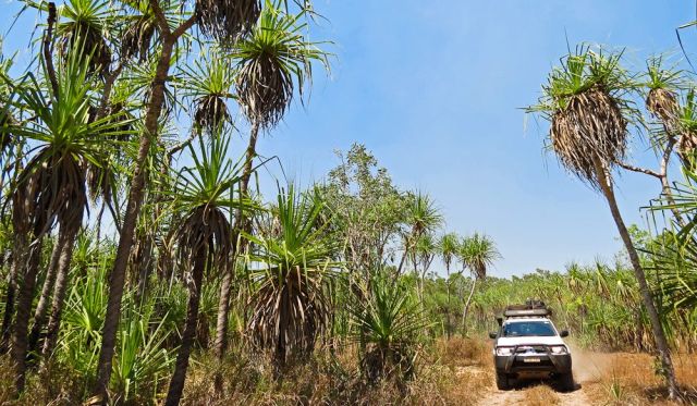 Kakadu 4WD tour
