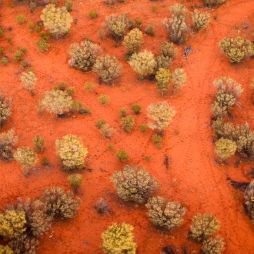 hot air ballooning outback Alice Springs