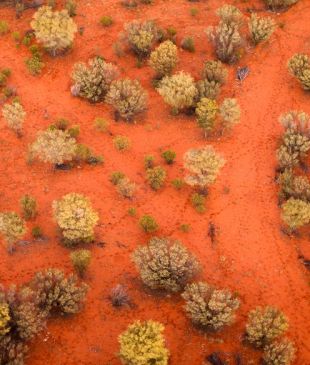 <p><i>Exploring</i> <strong>Alice Springs</strong> in a hot air balloon</p>
