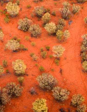 hot air ballooning outback Alice Springs