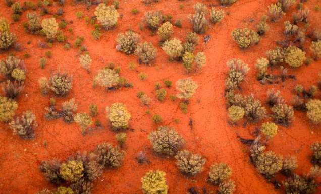 hot air ballooning outback Alice Springs