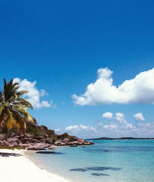 <p><i>5 things you can only see or do</i> in <strong>East Arnhem Land</strong></p>
