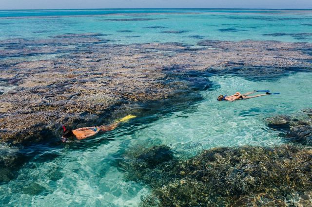 Snorkelling qualia Hamilton Island