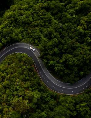 Driving through the Daintree Rainforest. (Image: Tourism and Events Queensland)