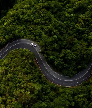 <p><i>How to get to the</i> <strong>Daintree Rainforest</strong></p>
