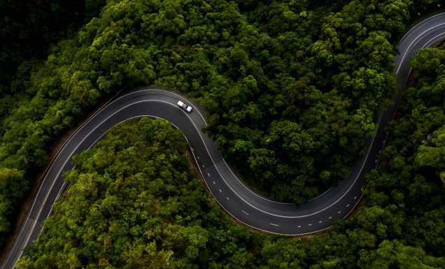 Driving through the Daintree Rainforest. (Image: Tourism and Events Queensland)