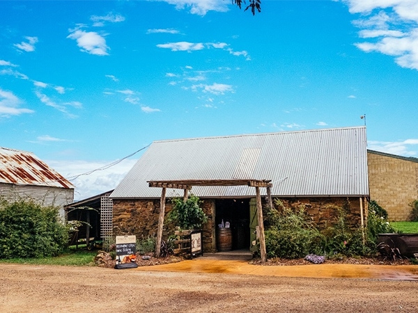 Spring Vale Vineyards 