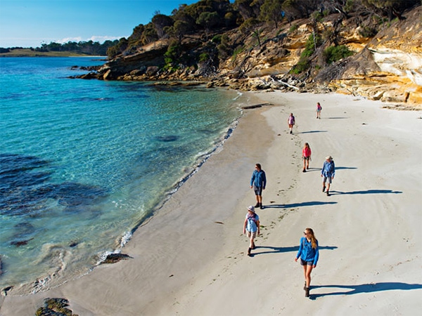 Maria Island walk