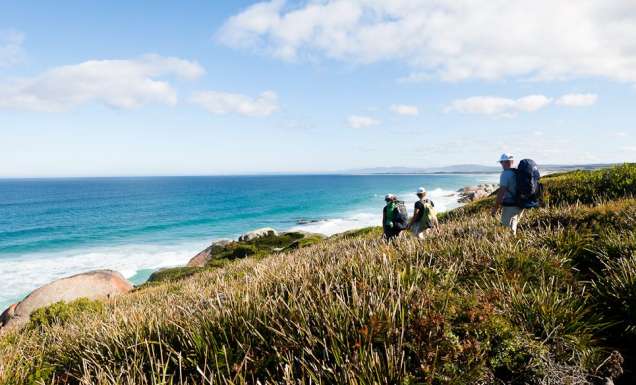 An Adventure Tassie wilderness walk