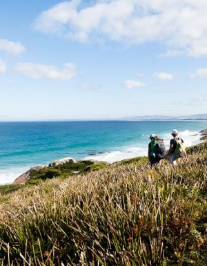 An Adventure Tassie wilderness walk