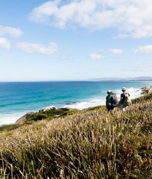 <p><i>5 of the best luxury</i> <strong>Tasmanian</strong> wilderness walks</p>
