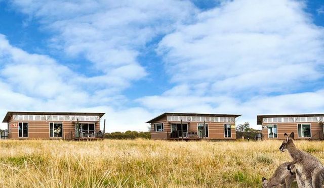 Taronga Western Plains Savannah Cabins