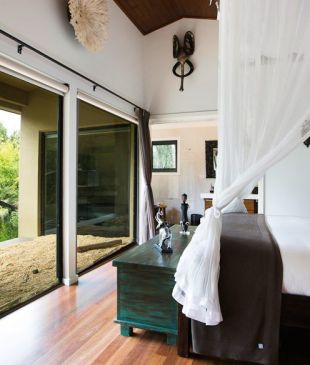 <p><i>5 of</i> <strong>Australia’s</strong> best zoo sleepovers</p>
