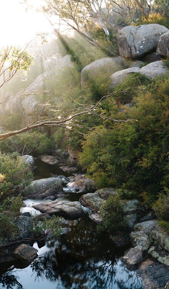 Mt Buffalo National Park