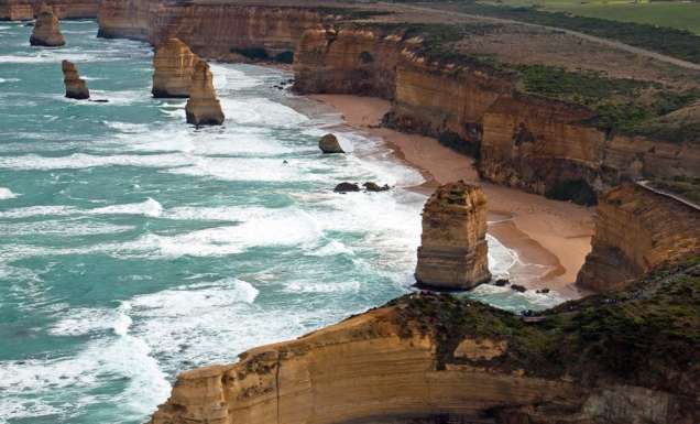 Sow and Piglets 12 Apostles