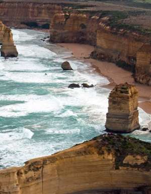 Sow and Piglets 12 Apostles