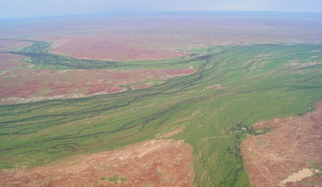 Green channels, Macumba River, Lake Eyre