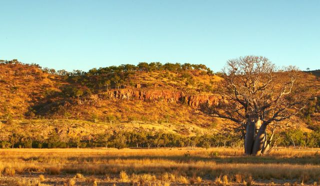 The 160,000-hectare Bullo River Station