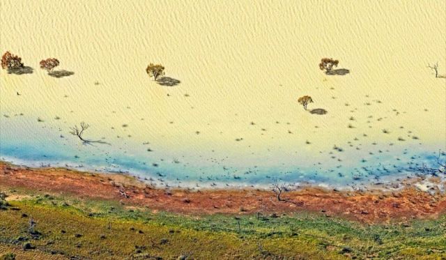 Desert River by Peter Elfes