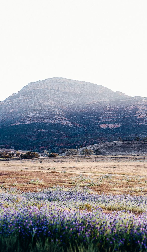 Bridle Gap hike Wilpena Pound elise hassey