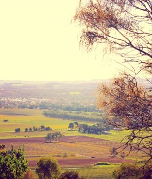 <p><i>Top 10 ways to enjoy wine</i> in <strong>Australia</strong></p>
