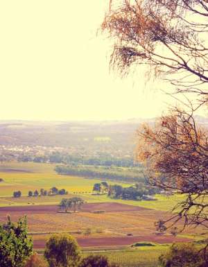 Barossa's vintage town, Tanunda.