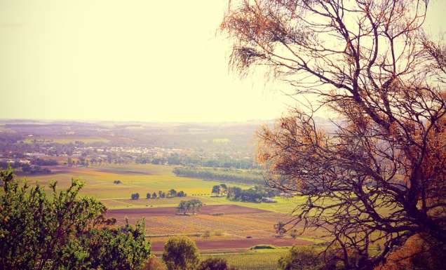Barossa's vintage town, Tanunda.