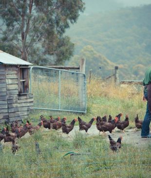 <p><i>The 5 best cooking schools</i> in <strong>Australia</strong></p>
