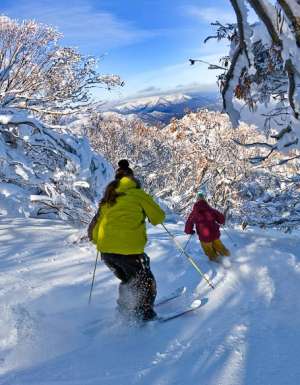 Powder skiing Wombat Valley Mt Buller