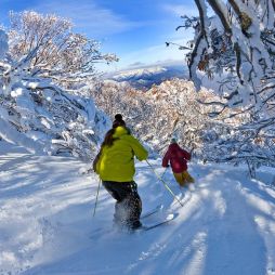 Powder skiing Wombat Valley Mt Buller