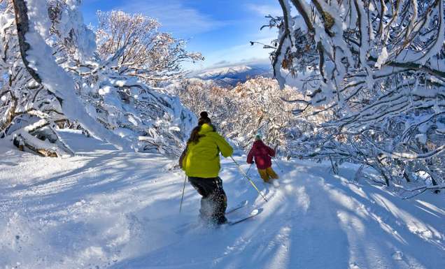 Powder skiing Wombat Valley Mt Buller