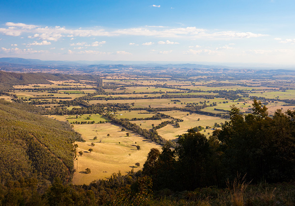 Murmungee Lookout Mt Buffalo