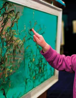 Seahorse World_Rob Burnett (5)