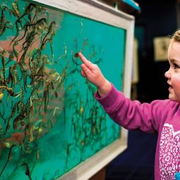 Seahorse World_Rob Burnett (5)