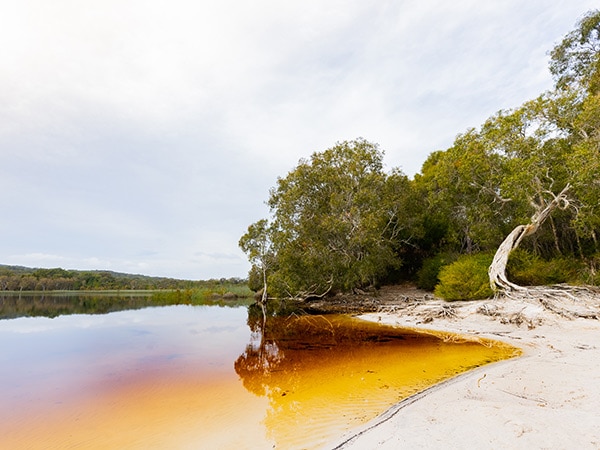 Brown Lake at North Stradbroke Island.
