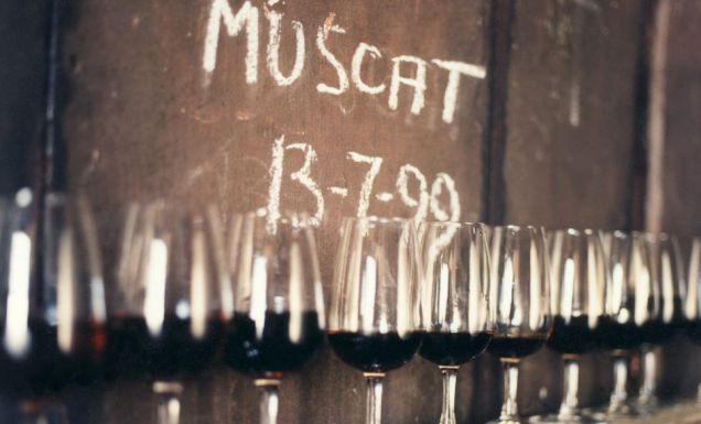 10 Incredible Things to Do in Rutherglen